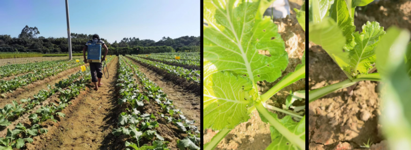  上海植生优谷生物技术有限公司 