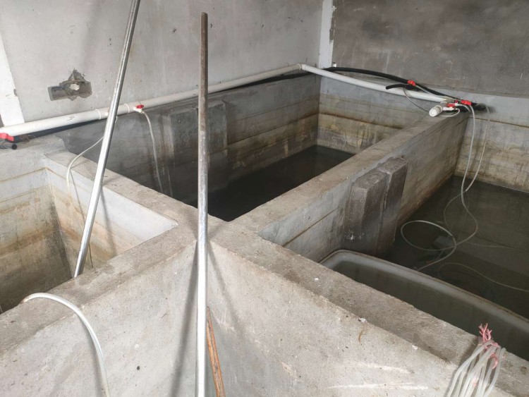  重人科学子三下乡： 水产品实地观察，感受“涪”地乡山乡水 