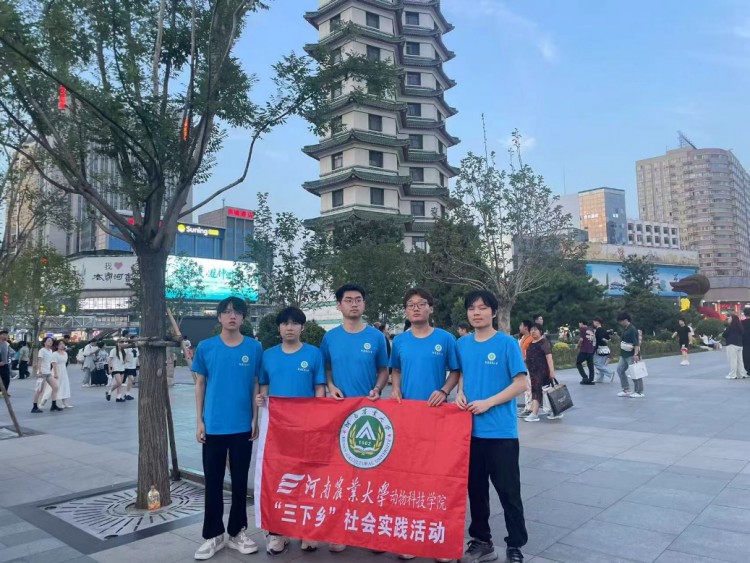  历史与现代的交融之旅 