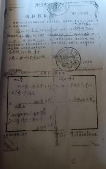  隆安山林权属争议十余年未决 村民质疑文件