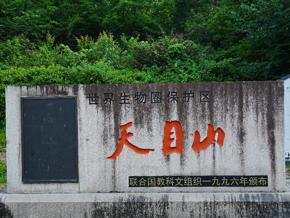  探秘天目山生态宝库，用实干践行“两山”理念：南师生科“生逢其时，职引未来”实践团走进天目山 