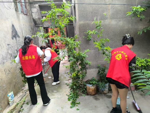  志愿服务进社区，情暖人心办实事 