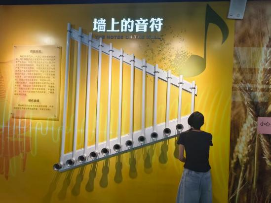  科技馆探索：声学与光学的奇妙邂逅 