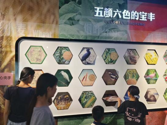  科技馆探索：自然与物理的奇妙交织 