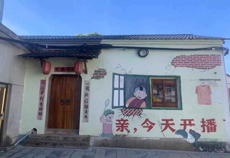  驻入“蒋幸福”村，看“村播”经济和党建带领的双重力量 