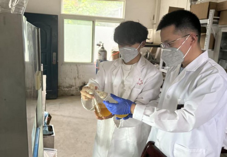  95 后博士带 00 后团队，用微生物 