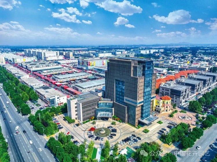 首衡国际花都描绘北方花卉产业新版图 | 动态(图1) 首衡国际花都描绘北方花卉产业新版图 | 动态(图1)