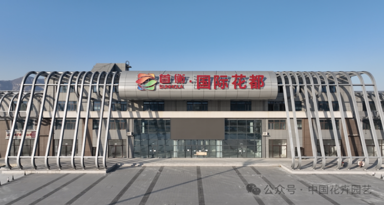 首衡国际花都描绘北方花卉产业新版图 | 动态(图12) 首衡国际花都描绘北方花卉产业新版图 | 动态(图12)
