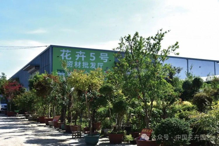 首衡国际花都描绘北方花卉产业新版图 | 动态(图7) 首衡国际花都描绘北方花卉产业新版图 | 动态(图7)