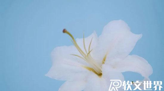 2022容易上热门的文案（励志、正能量）短句精选50条