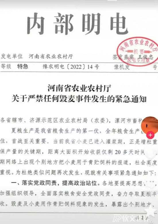 青麦收割事件解析：农民有权选择割青麦作饲料吗？