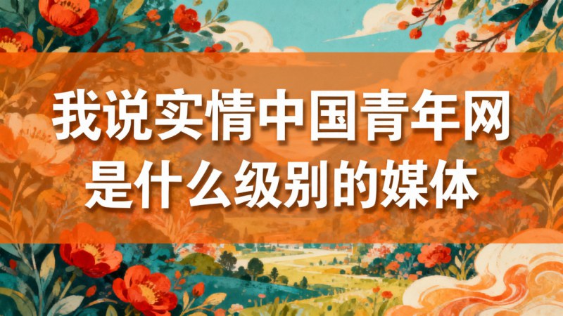 我说实情中国青年网是什么级别的媒体