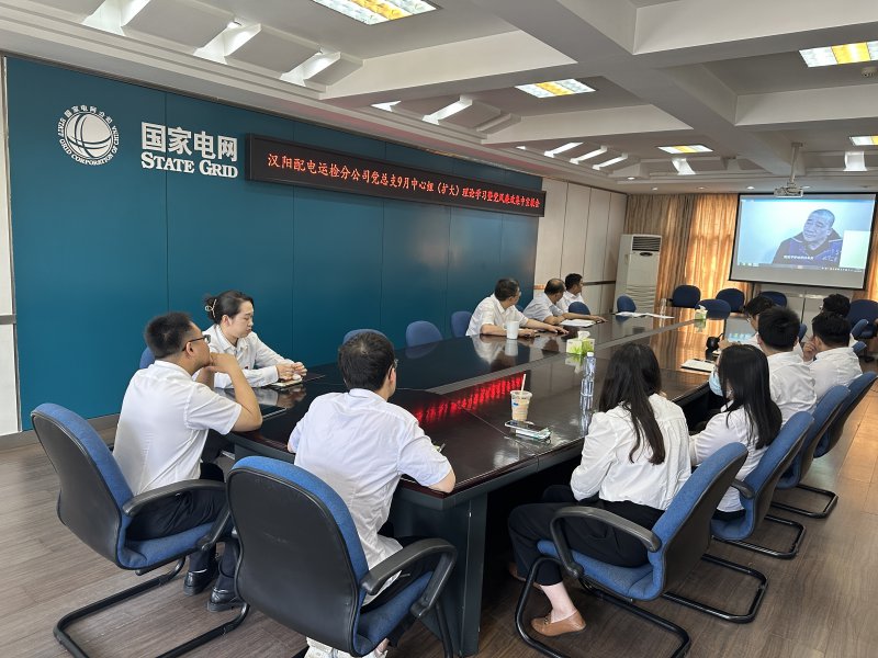  汉阳配电运检分公司开展党风廉政集中宣教活动 