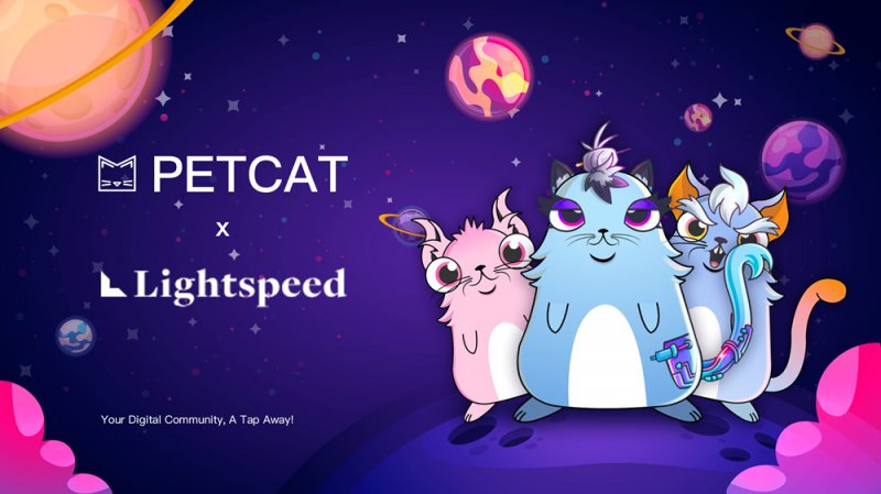  PetCat携手Lightspeed Venture Partners，标志着Web3 NFT社交领域的新篇章 