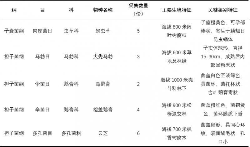 表3.png