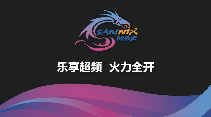 内存品牌新乐士屠龙勇士系列曝光，9600MHz引领超频新高度