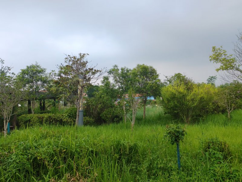  豫北乡村探访，山下诗意振兴 