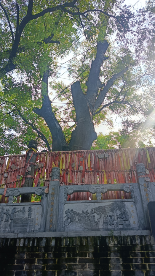 4c1d1d9d-6337-4d5a-b552-975e124b50a5.png