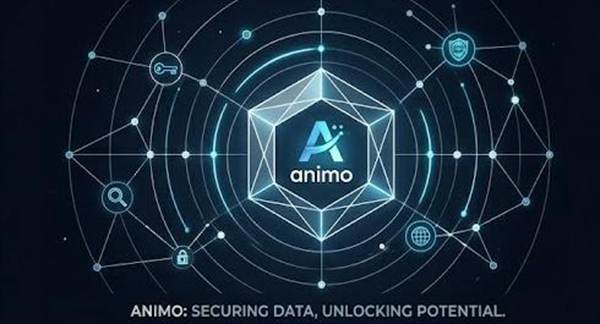 1775276464120458.jpg 3.jpg