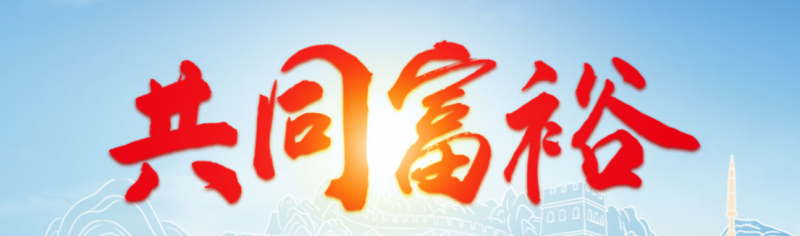  ​AMC中国资产,响应“十五五”规划并践行两会共同富裕精神 